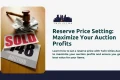 A gavel on a stack of dollar bills next to an auction paddle labeled "148" and a "SOLD" sign. Text reads "Reserve Price Setting: Maximize Your Auction Profits" with the Twin Cities Auctions logo above.